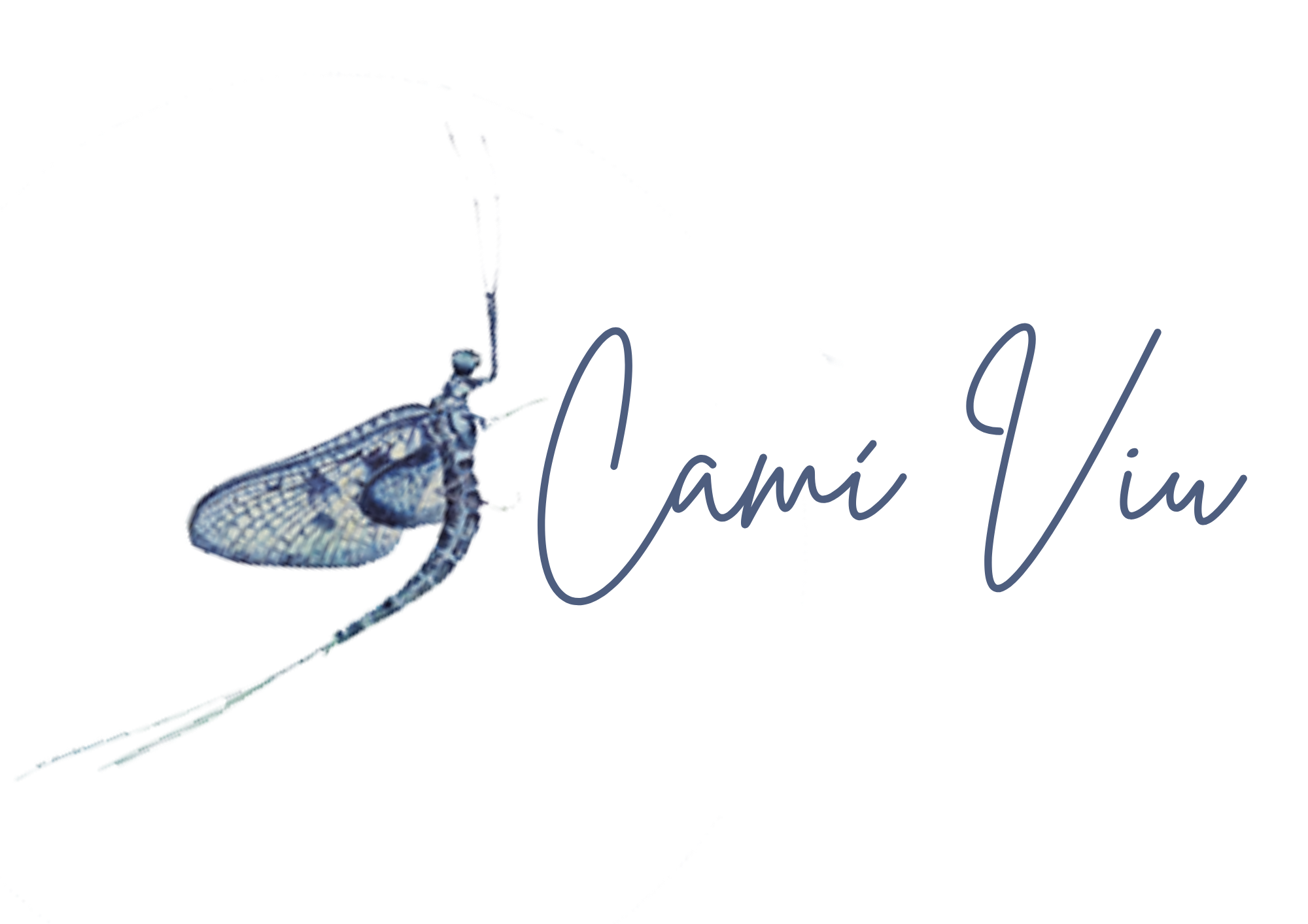 Camí Viu